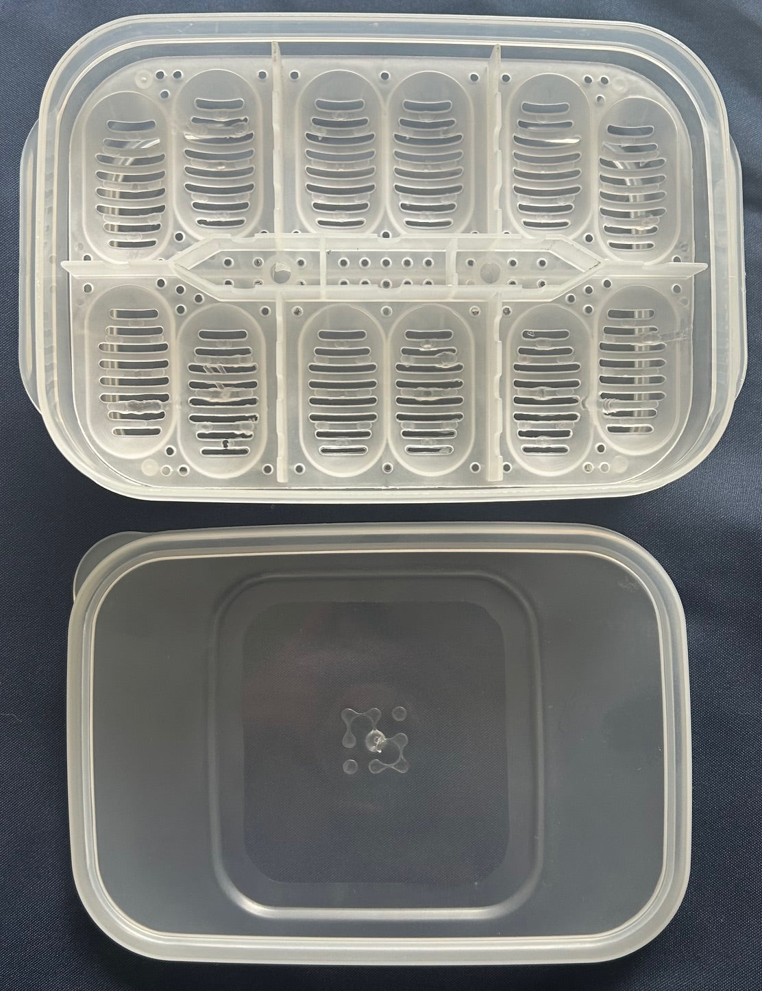 Reptile Incubation Box