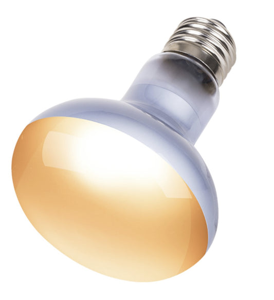 Beam Spot Lamp UVA - 100w