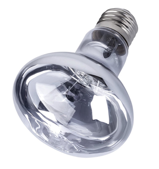 Daylight Spot Lamp - 100w