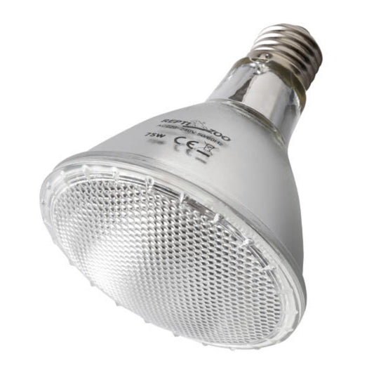 UVA Daytime Heating Lamps – Spotlight - 75w