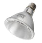 UVA Daytime Heating Lamps – Spotlight - 75w