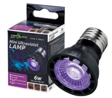 Ultraviolet Lamp